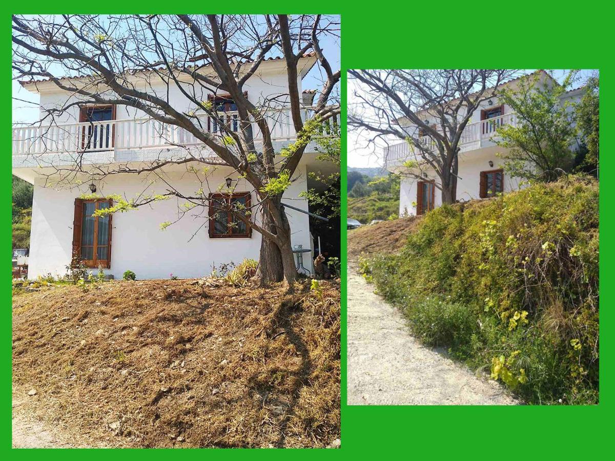 Kampos View Ikaria Lägenhet Evdilos  Exteriör bild