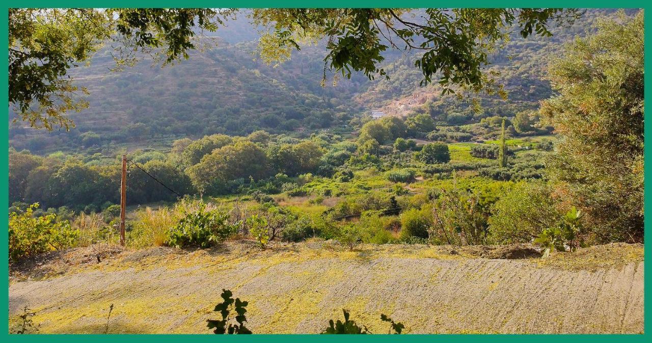 Kampos View Ikaria Lägenhet Evdilos  Exteriör bild