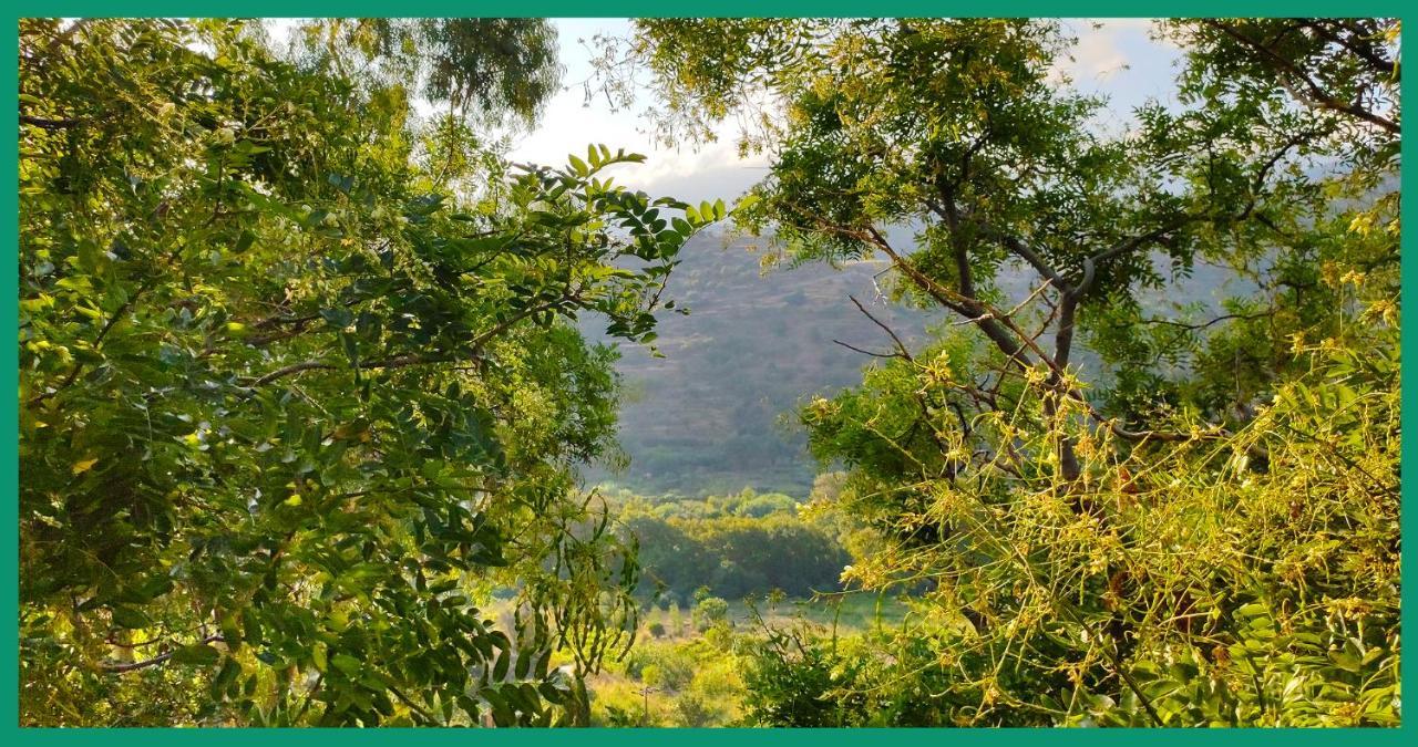 Kampos View Ikaria Lägenhet Evdilos  Exteriör bild