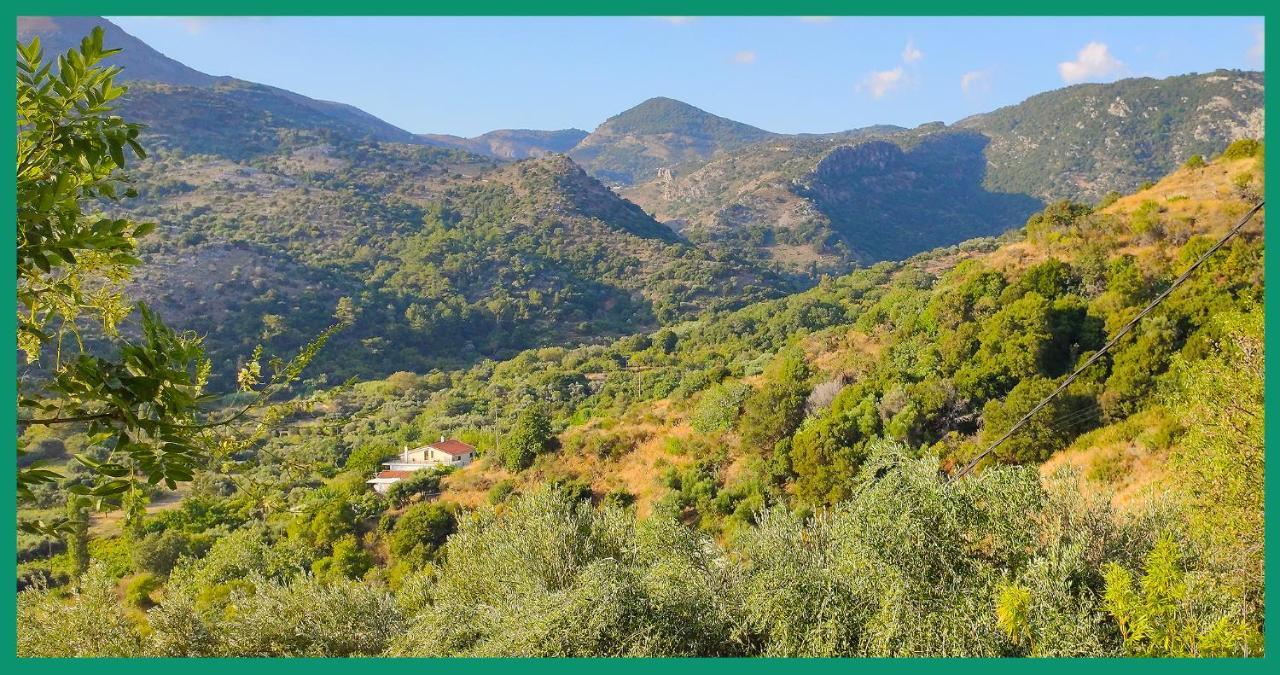 Kampos View Ikaria Lägenhet Evdilos  Exteriör bild