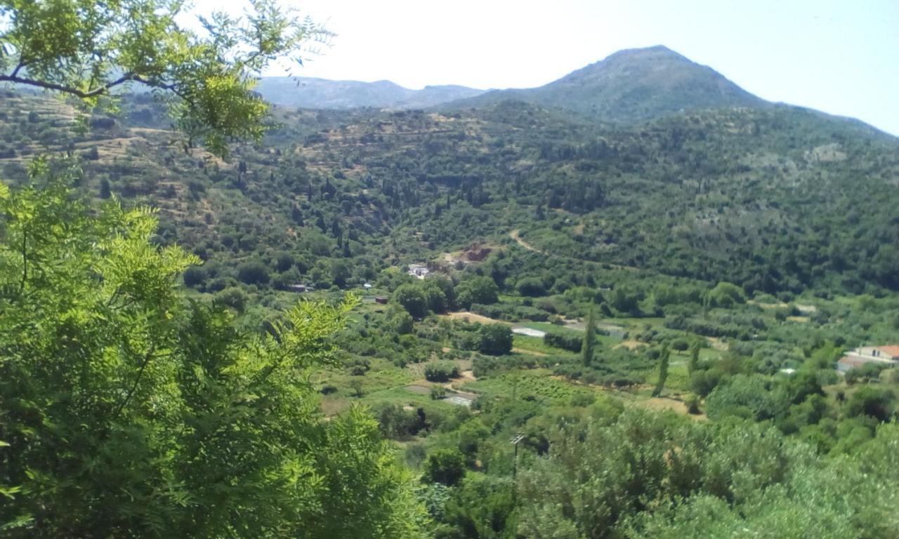 Kampos View Ikaria Lägenhet Evdilos  Exteriör bild