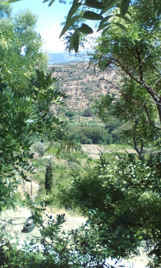 Kampos View Ikaria Lägenhet Evdilos  Exteriör bild